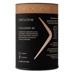 COLLAGEN 4D